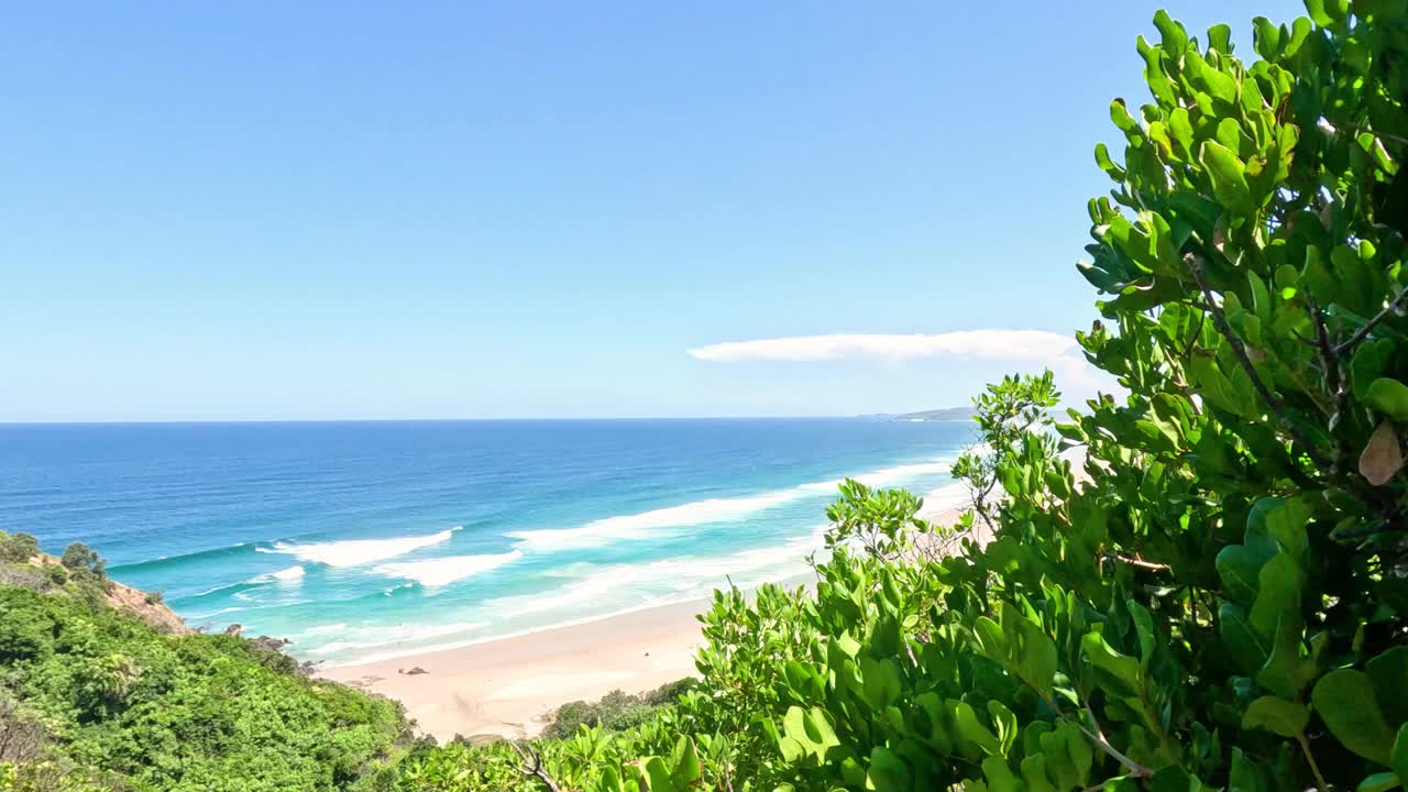 风景秀丽的海滩景观透过树叶视频素材