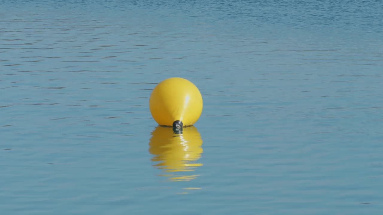 黄色的浮标漂浮在平静的湖面上，克罗地亚萨格勒布贾伦湖视频下载