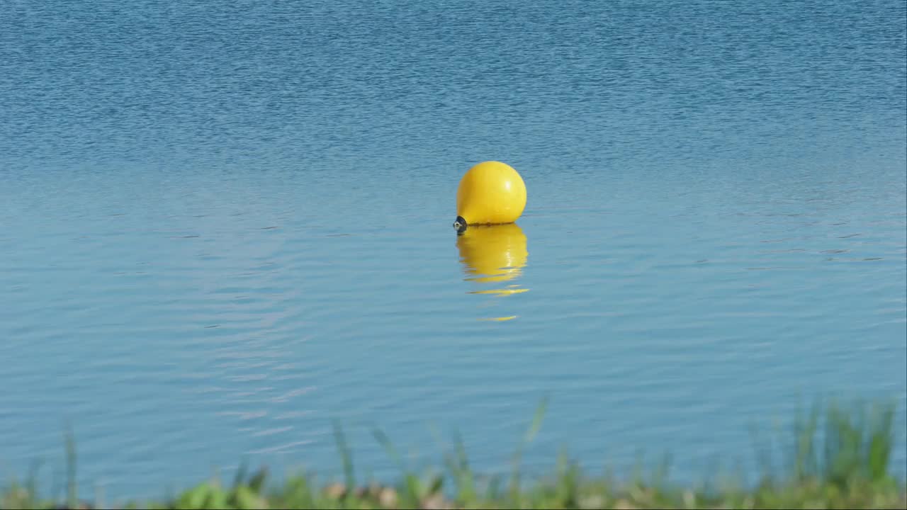 黄色浮标漂浮在一个平静的湖与草在焦点前景，贾伦湖，萨格勒布，克罗地亚视频下载