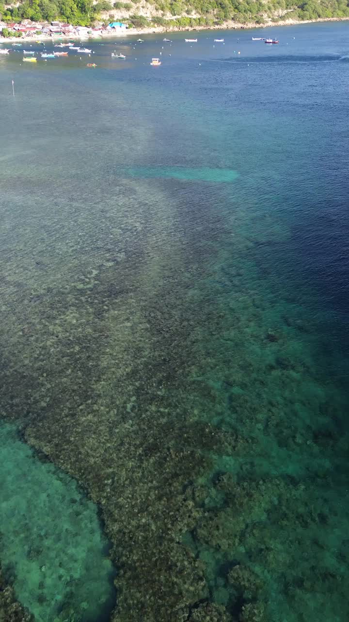 珊瑚与绿松石水的垂直无人机镜头视频素材