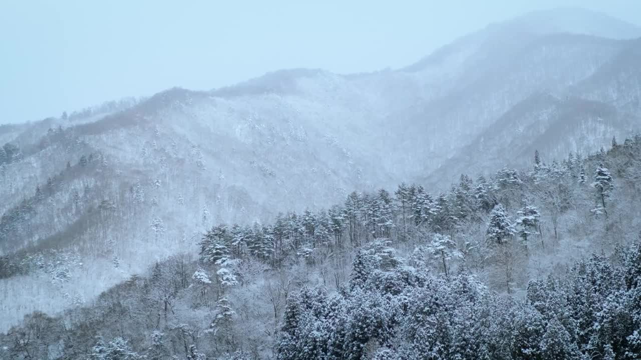 冬天，大雪覆盖了村庄和森林。平静而寒冷，无声地感到孤独和寒冷，但仍然是大自然创造的美丽。视频下载