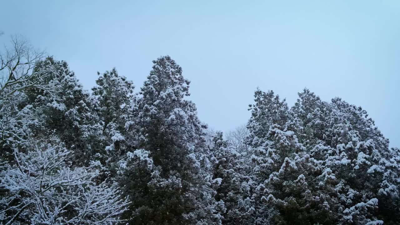 冬天，大雪覆盖了村庄和森林。平静而寒冷，无声地感到孤独和寒冷，但仍然是大自然创造的美丽。视频下载