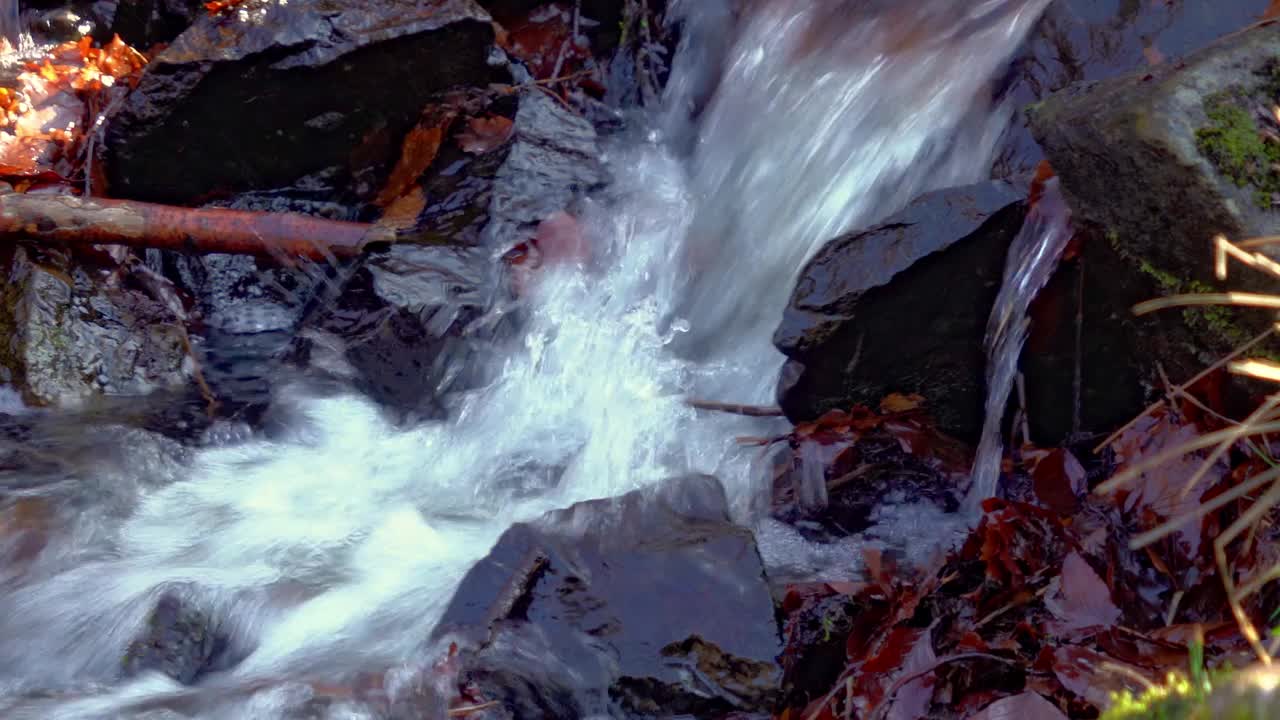 戈斯拉尔附近哈茨山脉潺潺流水的特写视频下载