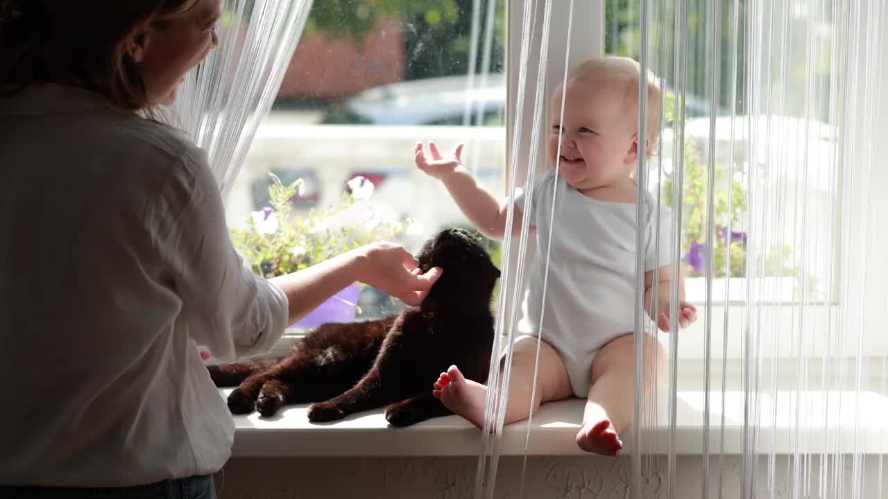 快乐的婴儿儿子，女儿坐在窗台上和成年家猫玩耍。年轻的母亲和她的小男孩、小女孩一起在家里的大窗户旁休息。孕妇的概念。母亲。视频下载