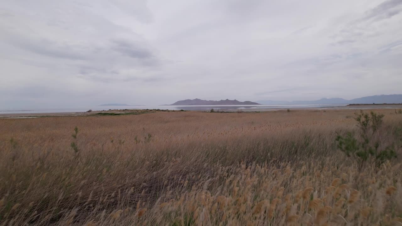 空中大盐湖低飞向岛屿视频素材