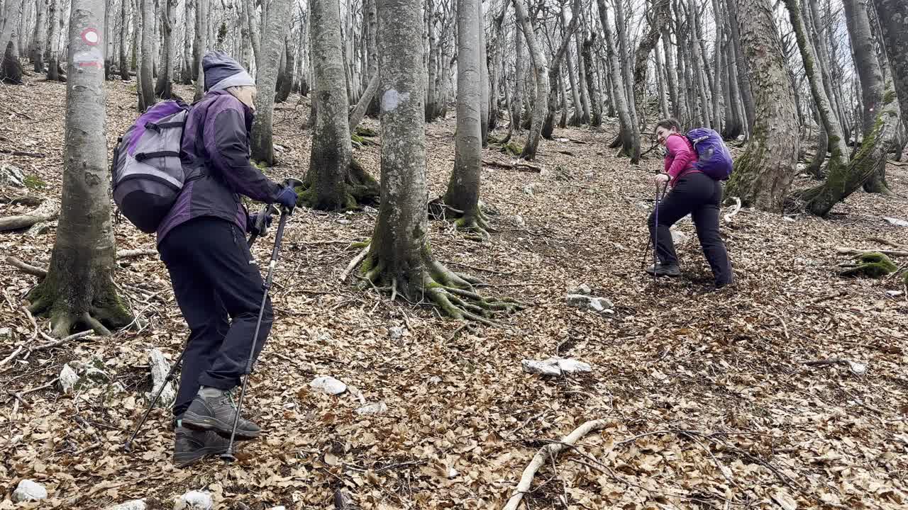 老年徒步旅行者在森林里视频素材