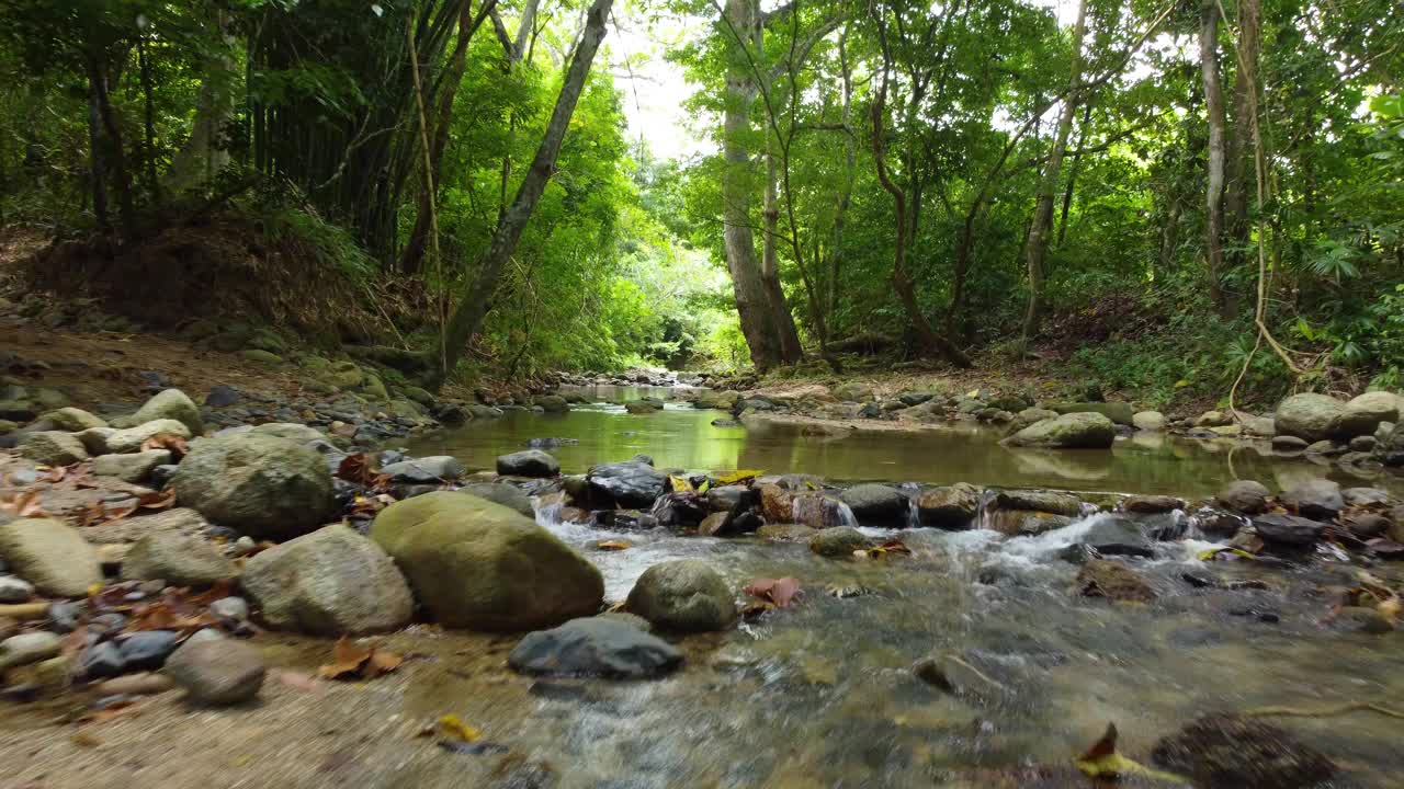 飞上一条风景如画的小溪，它平静地蜿蜒穿过翠绿的森林视频素材