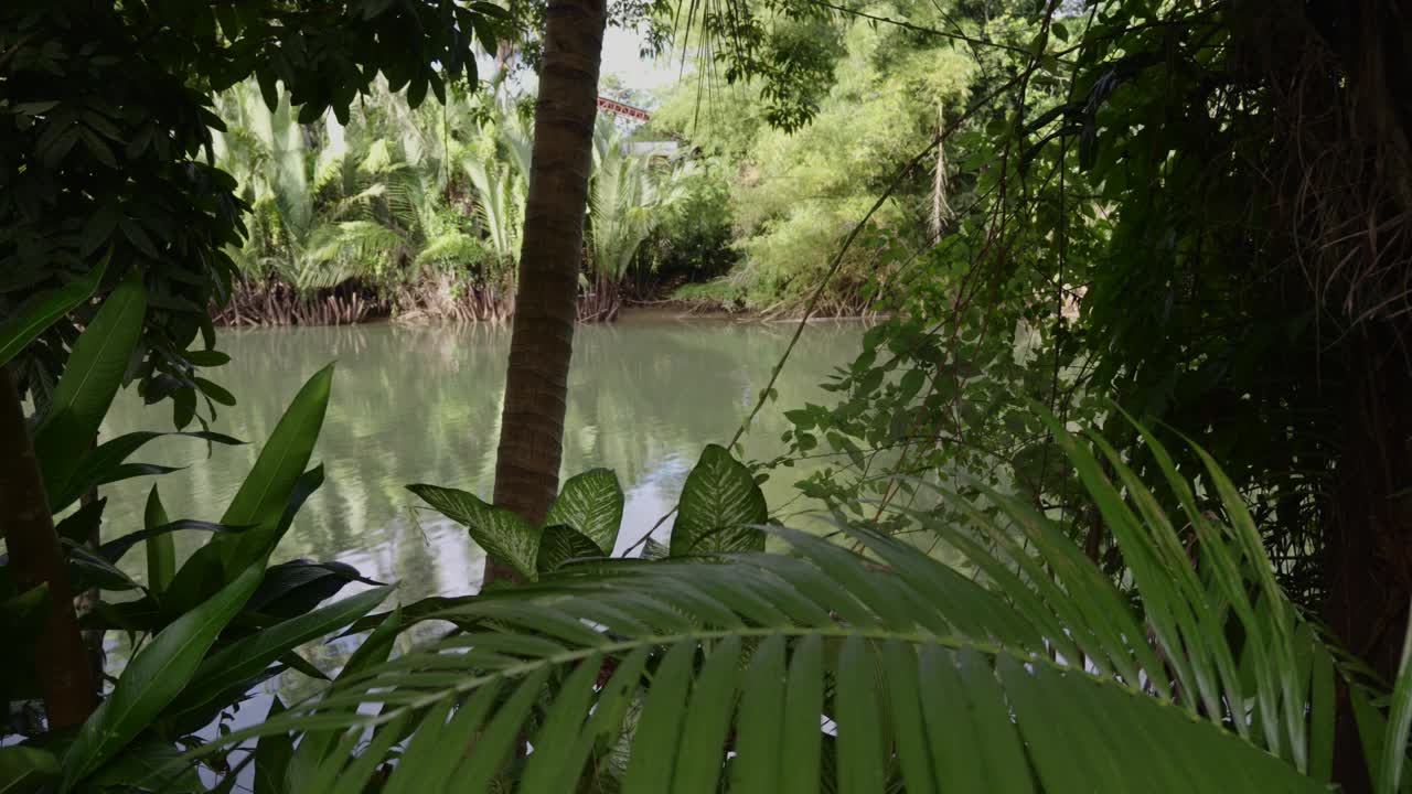 宁静的热带河流景色在菲律宾与郁郁葱葱的绿色和平静的水域，日光，宁静的心情视频素材