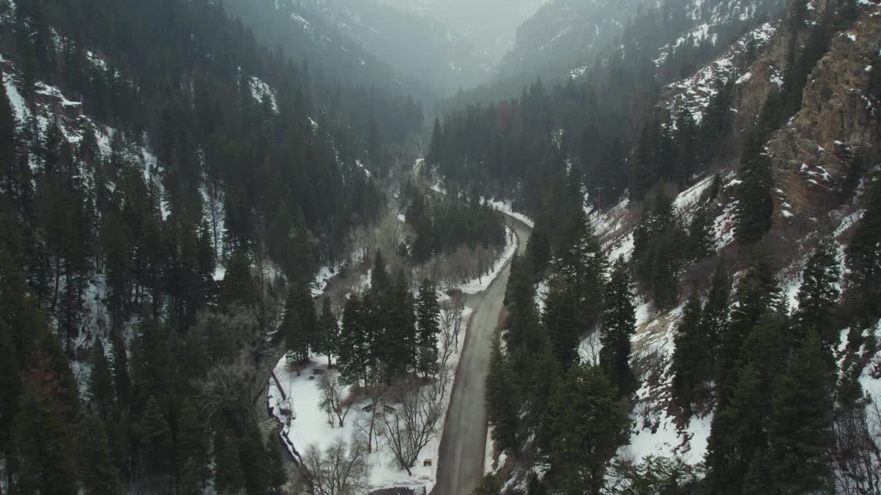 美国福克峡谷冬季雪山松林公路。空中拍摄视频素材