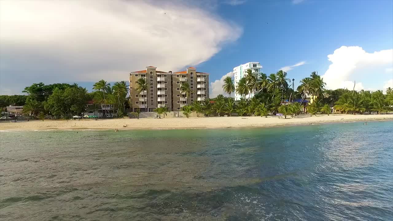 阳光明媚的一天，迈阿密海滩上清澈的海水，高大的棕榈树和海滨建筑，鸟瞰图，在美国视频素材