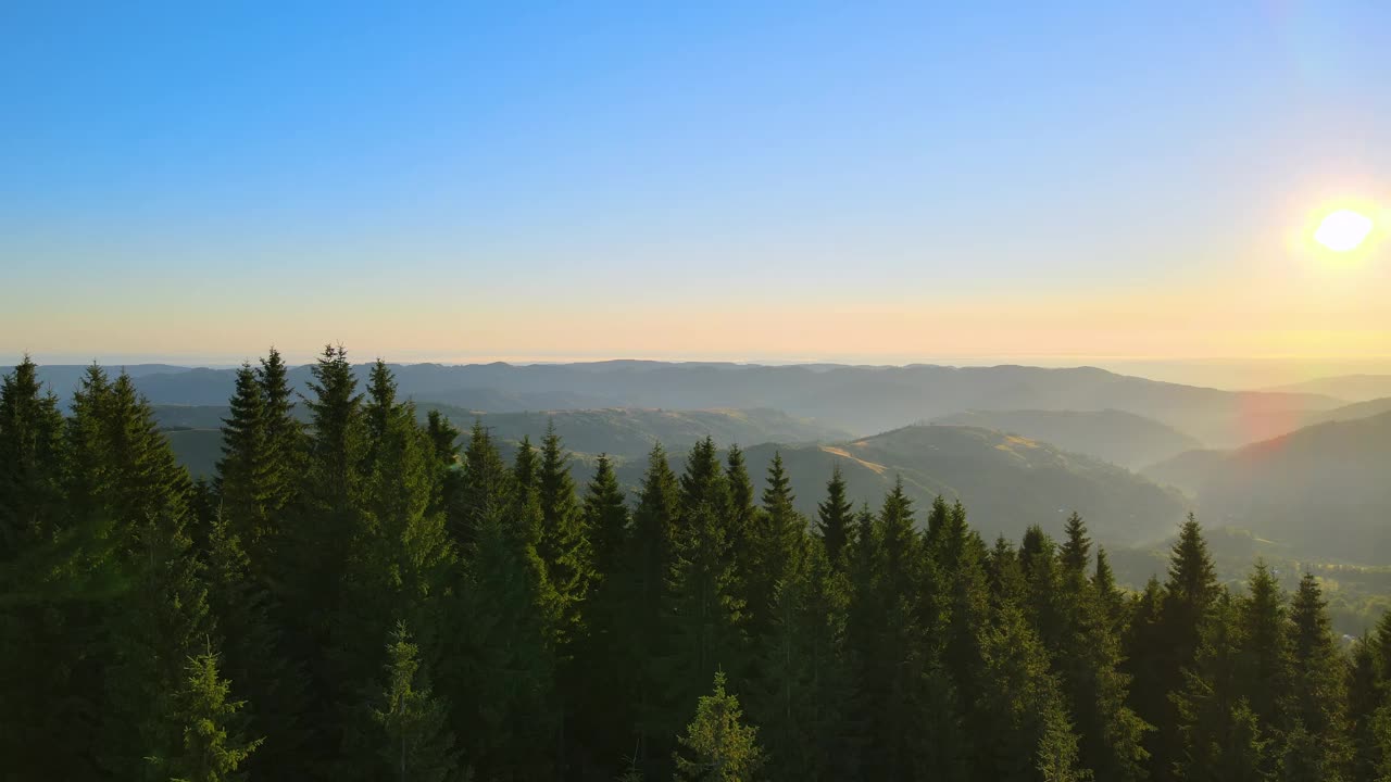 令人惊叹的山地景观。黑暗的云杉树林被黄色的夕阳照亮。在野生国家公园高地上明亮多彩的日落视频素材