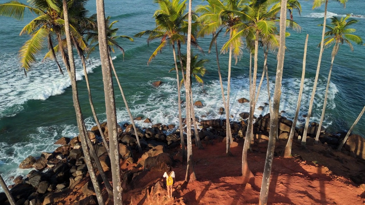 Aerial view of woman hiking through coconut grove near the seaside视频素材