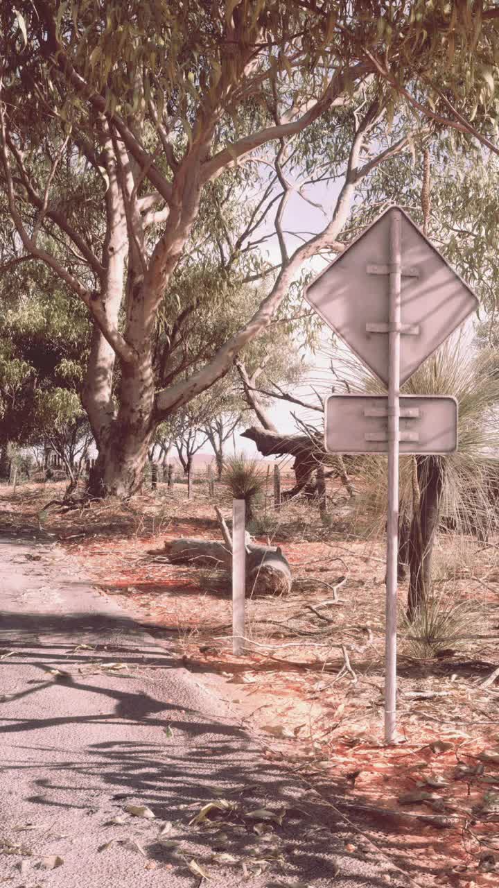 一条两旁绿树成荫、有路标的风景优美的道路视频素材