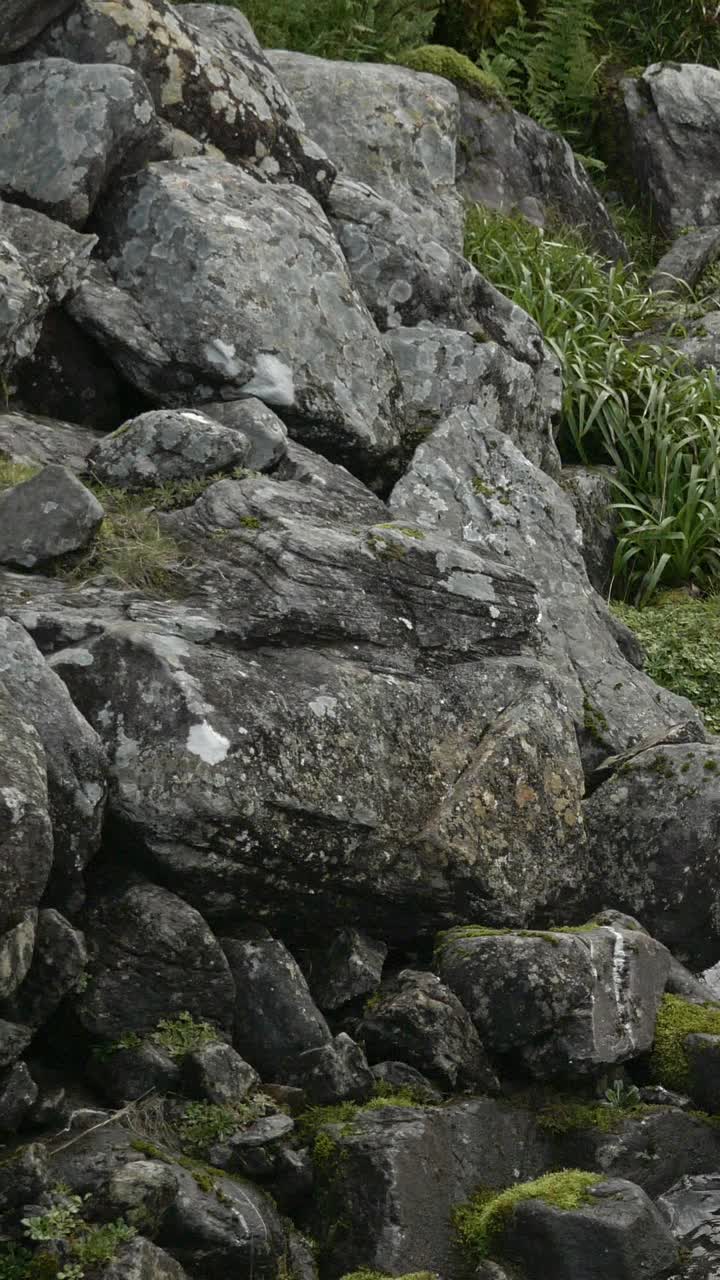 一条充满活力的山间溪流，泡沫和泡沫，迅速流过岩石周围。垂直视频，立体声。视频素材