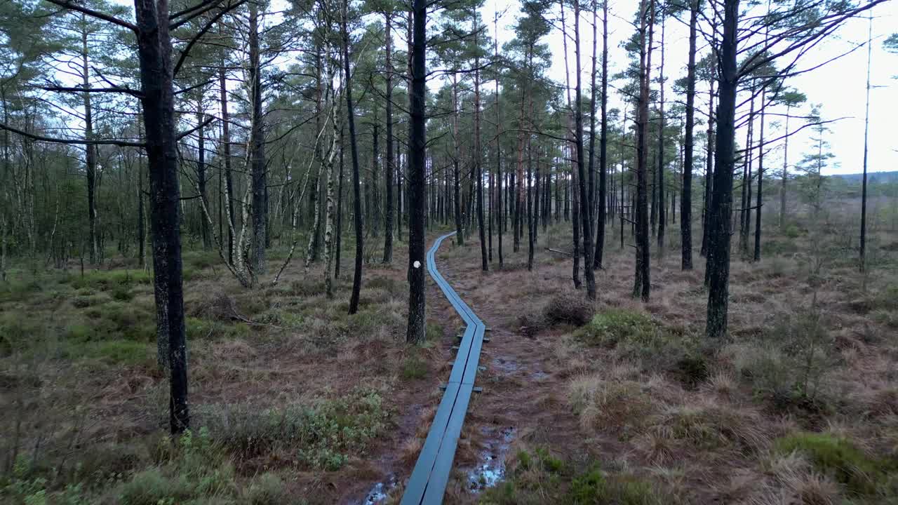 自然路径的视频视频下载