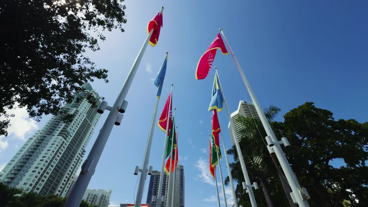 迈阿密市中心海湾的迎风飘扬的旗帜视频素材