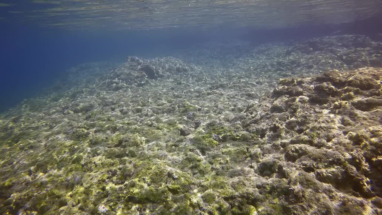 在阳光明媚的日子里，沿海地区的岩石海床在阳光的刺眼下，慢动作。地中海水下景观，希腊视频素材