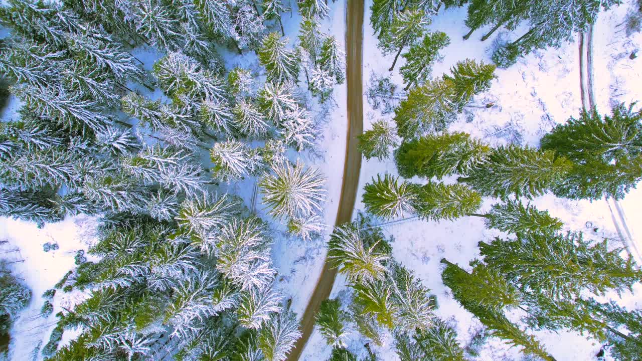 飞过白色的冬日树林和蜿蜒的山路视频素材