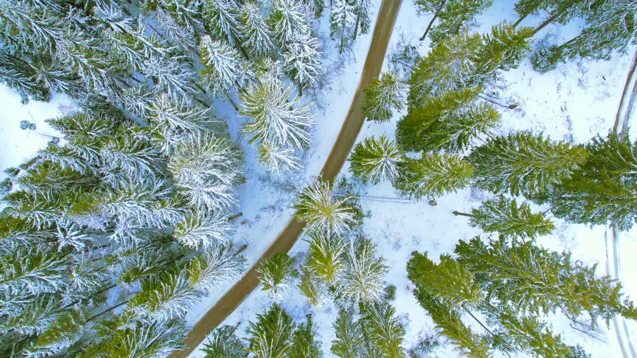 白雪覆盖的森林和道路的冬季景观旋转视频素材