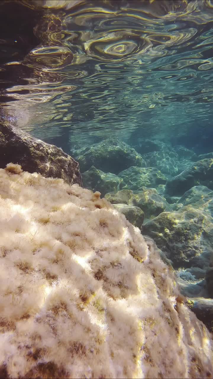 浅水景观与大石块在阳光的眩光和水面视频素材