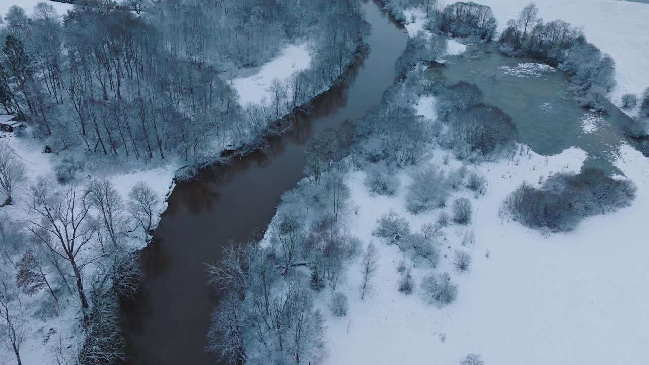 在Renda村附近的Abava河流域，蜿蜒的河流穿过白雪覆盖的森林(Kuldiga教区，拉脱维亚)，鸟瞰，向前移动，倾斜向上视频素材