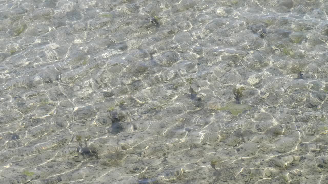 阳光耀眼地照在晶莹剔透的海水表面，录像。水面上的小波纹和波动。水的背景。视频素材