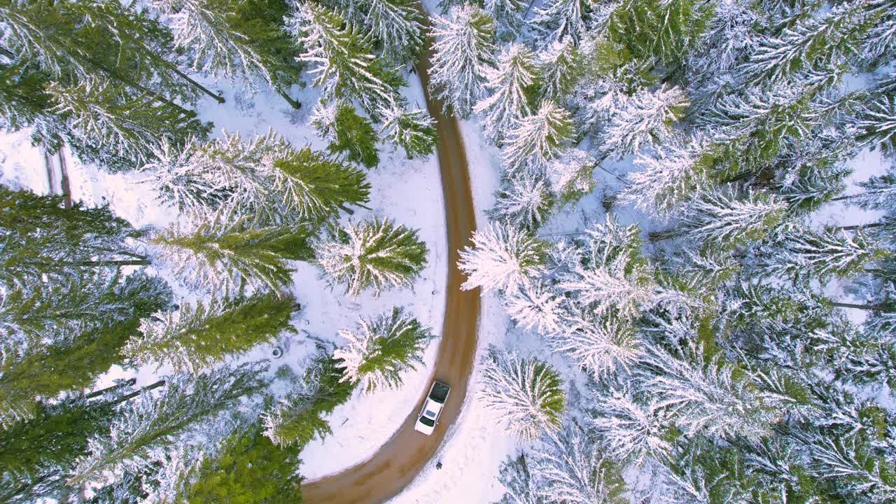 汽车在白雪覆盖的树林里行驶视频素材