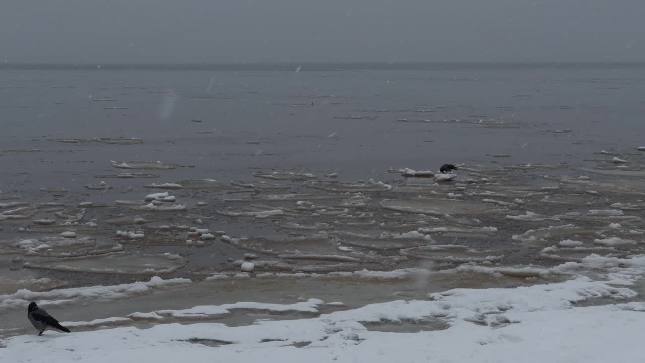 在天空和风景中，鸭子在白雪皑皑的海浪上滑行。视频素材