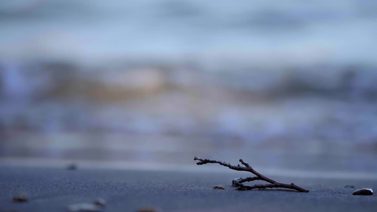 黄昏的色调在海滩上，专注于孤独的树枝对着柔软的海浪，唤起平静视频素材