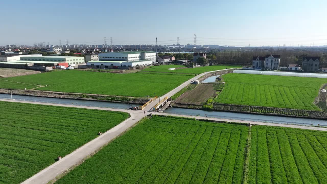 乡村田园诗般的景色视频下载