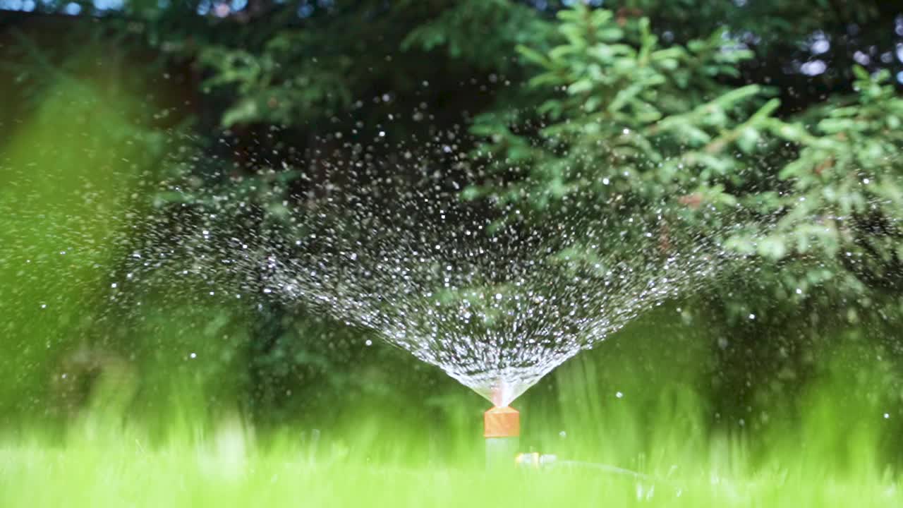 夏季花园草坪喷水喷灌技术。在旱季给绿色植物浇水。视频素材