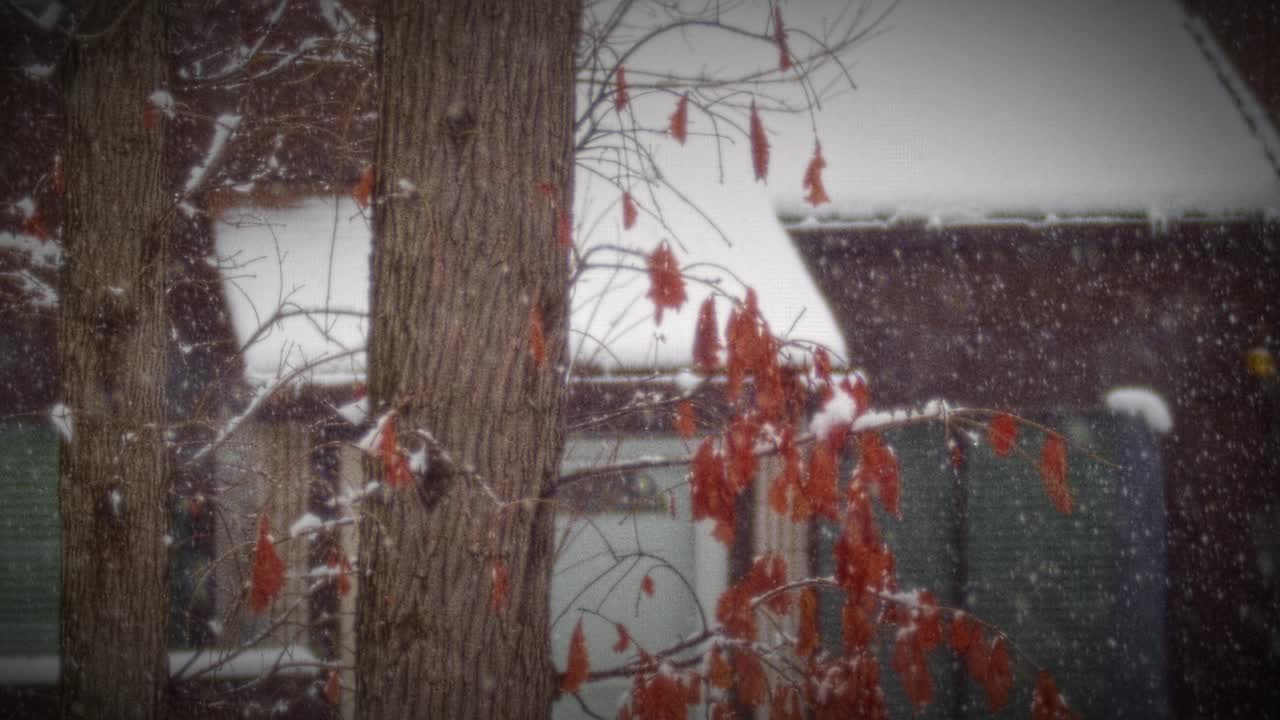 山村里的冬季暴风雪视频素材