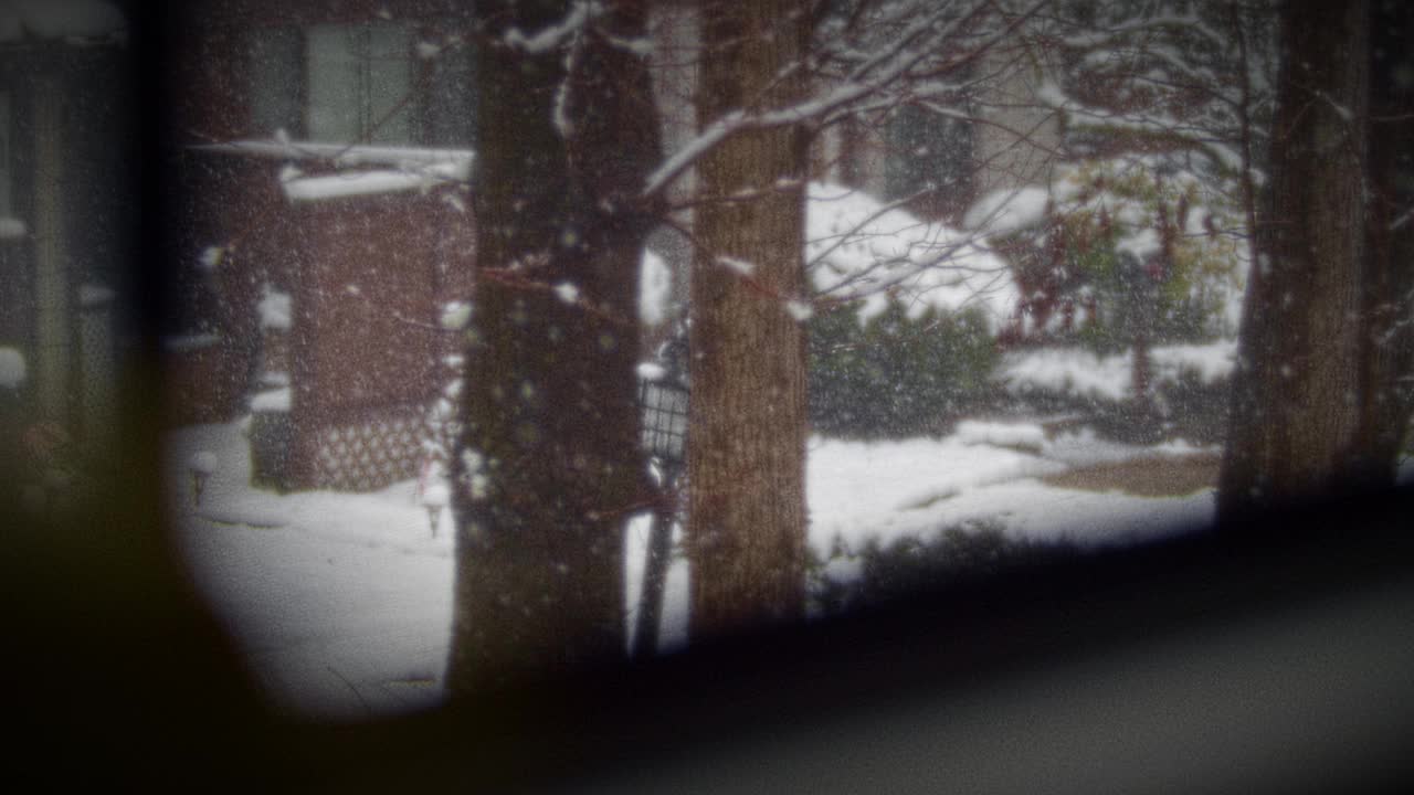 山村里的冬季暴风雪视频素材