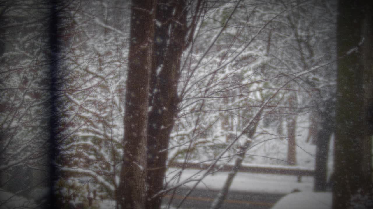 山村里的冬季暴风雪视频素材