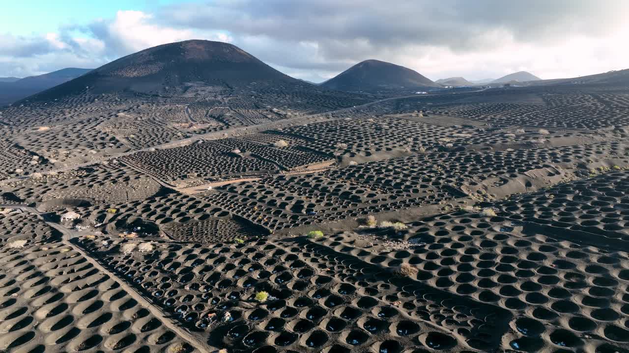 西班牙加那利群岛兰萨罗特岛葡萄园黑色火山灰轨迹，无人机鸟瞰图视频素材