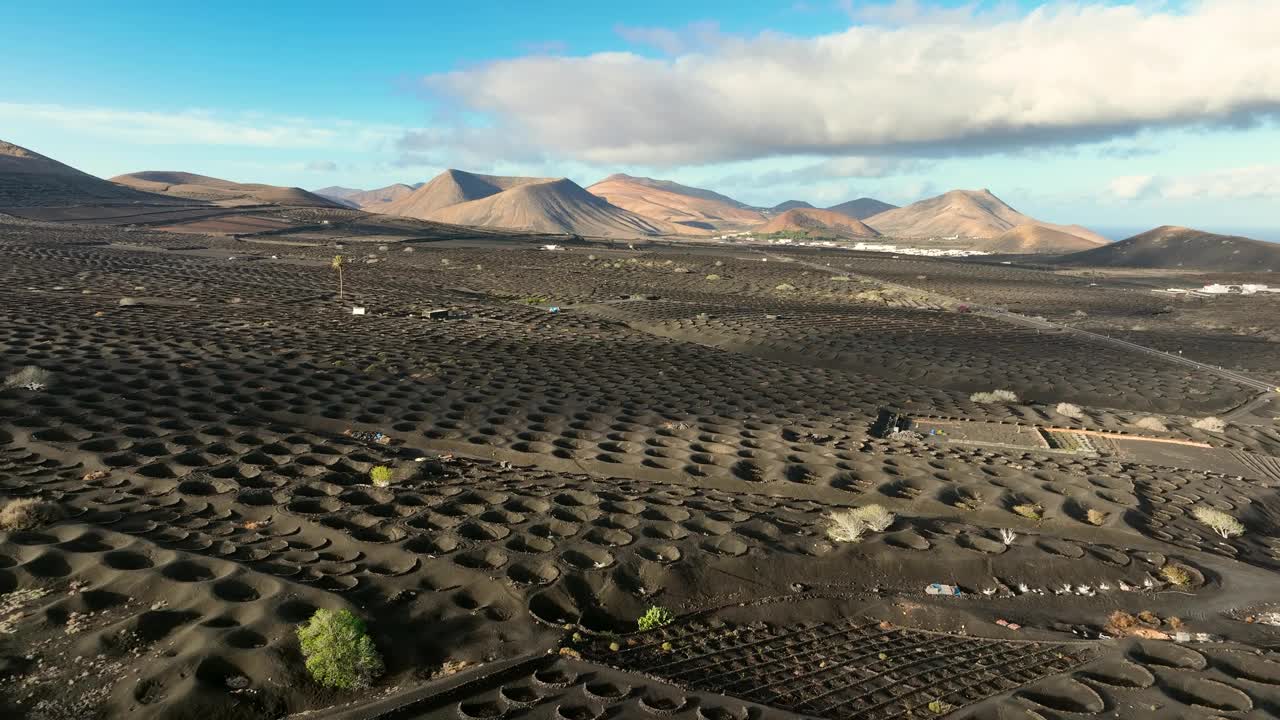 西班牙加那利群岛兰萨罗特岛葡萄园黑色火山灰轨迹，无人机鸟瞰图视频素材