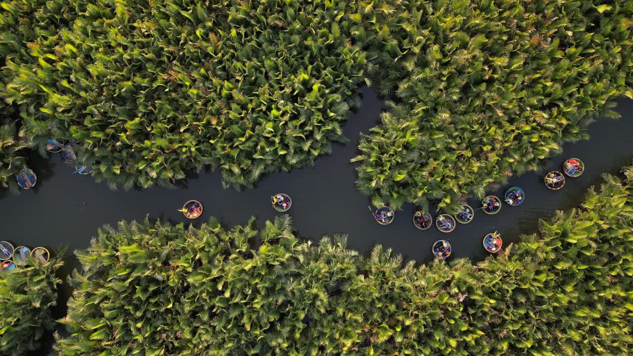 越南会安湾茂红树林中的椰子船(篮船)无人机视频视频下载