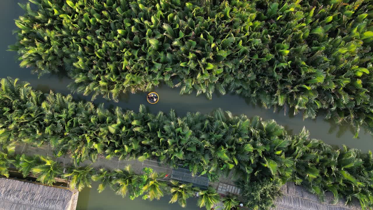 越南会安湾茂红树林中的椰子船(篮船)无人机视频视频下载