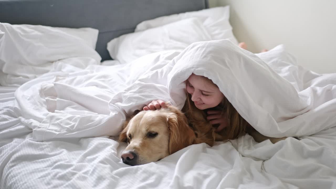 微笑的小女孩在床上的毯子下和可爱的金毛猎犬玩耍视频素材