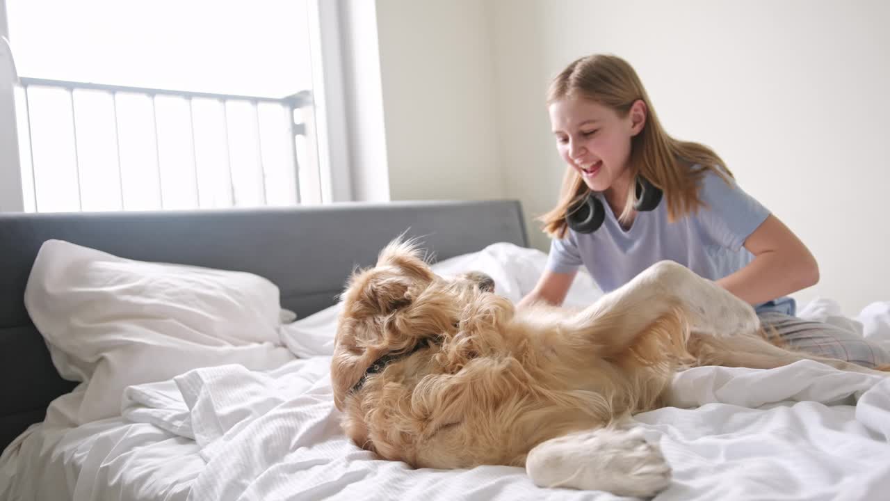 快乐微笑的小女孩和躺在床上的可爱宠物金毛猎犬玩耍视频素材