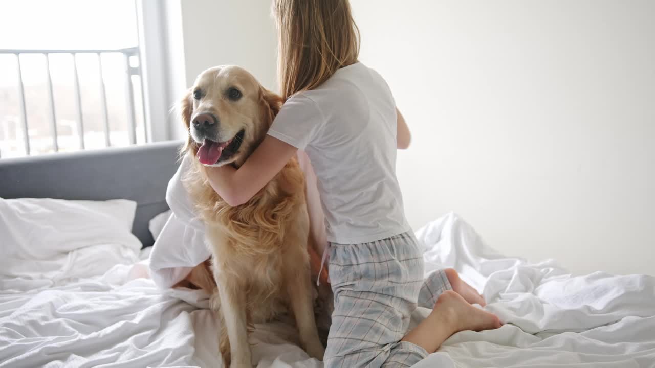 快乐的小女孩和她的宠物金毛猎犬玩耍，裹着毯子视频素材