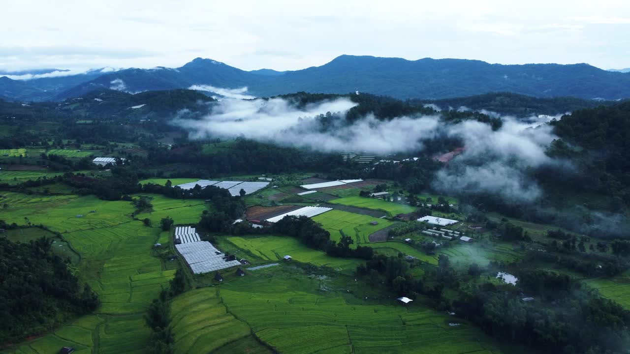 水稻梯田和山上的薄雾视频下载