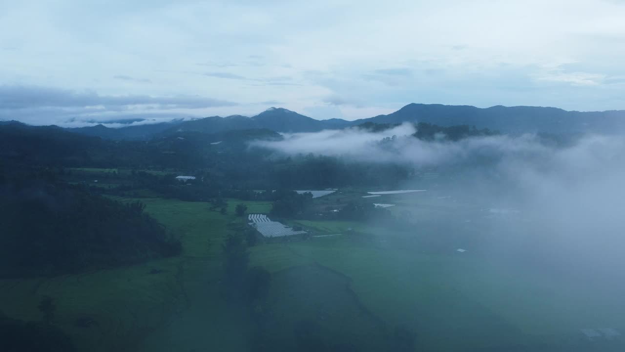 水稻梯田和山上的薄雾视频素材