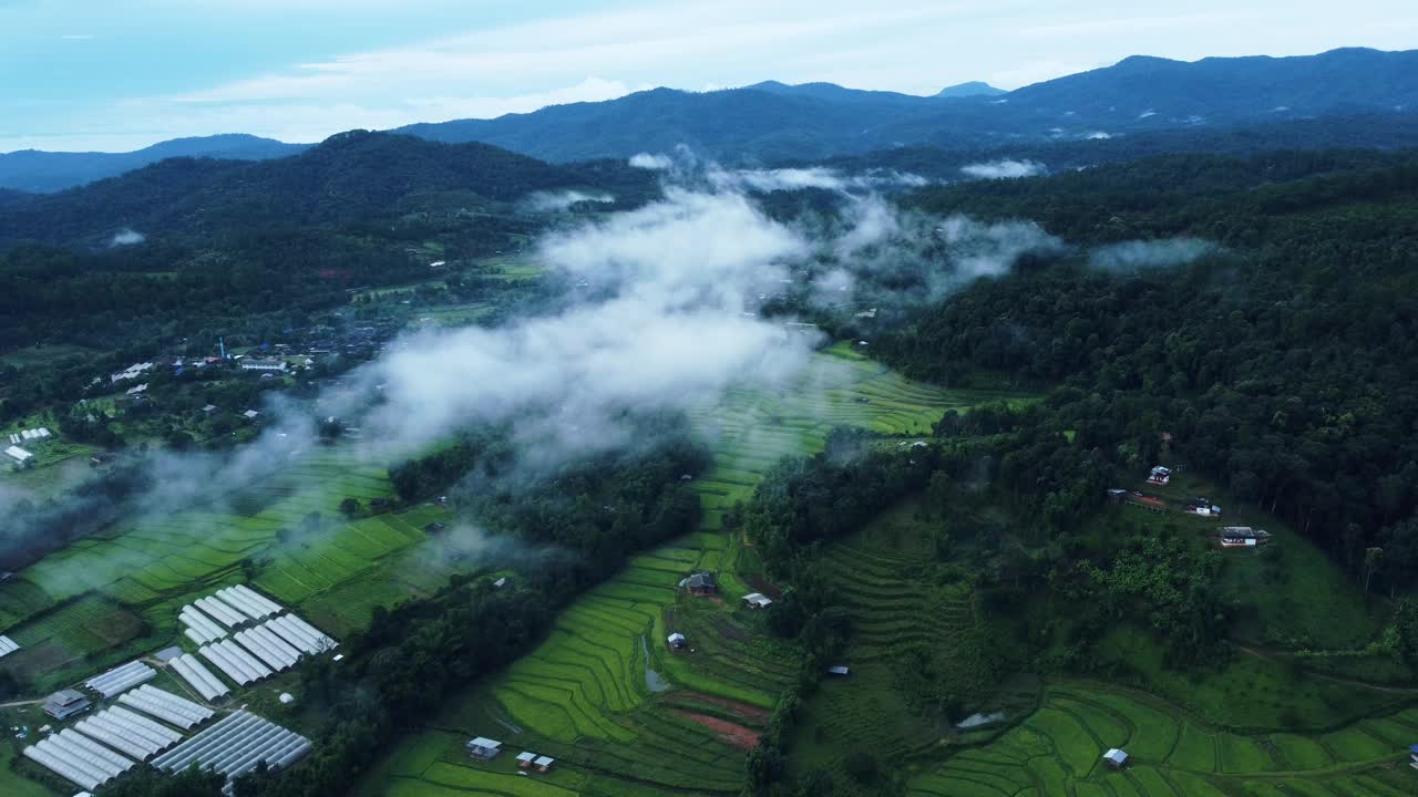 水稻梯田和山上的薄雾视频下载