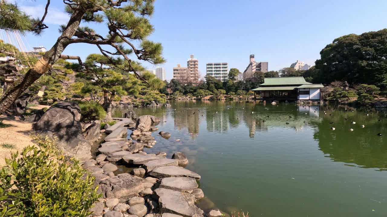 宁静的池塘在城市公园设置视频素材