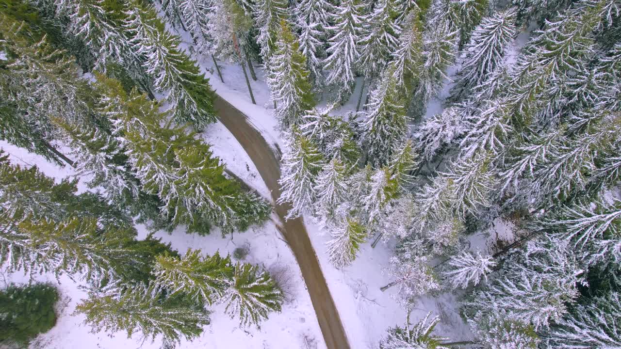 在雪山蜿蜒的道路上飞行视频素材