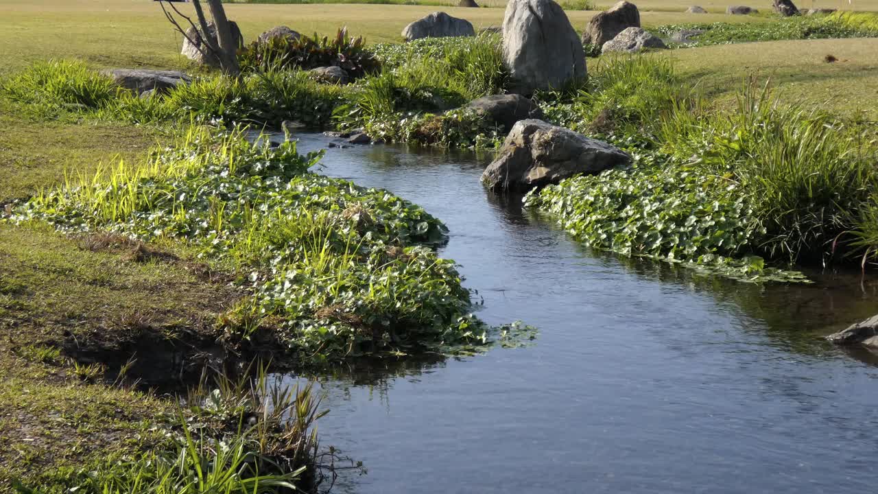 静水静静地流过草地视频素材