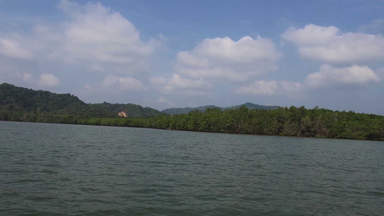 风景秀丽的湖泊和森林全景视频素材