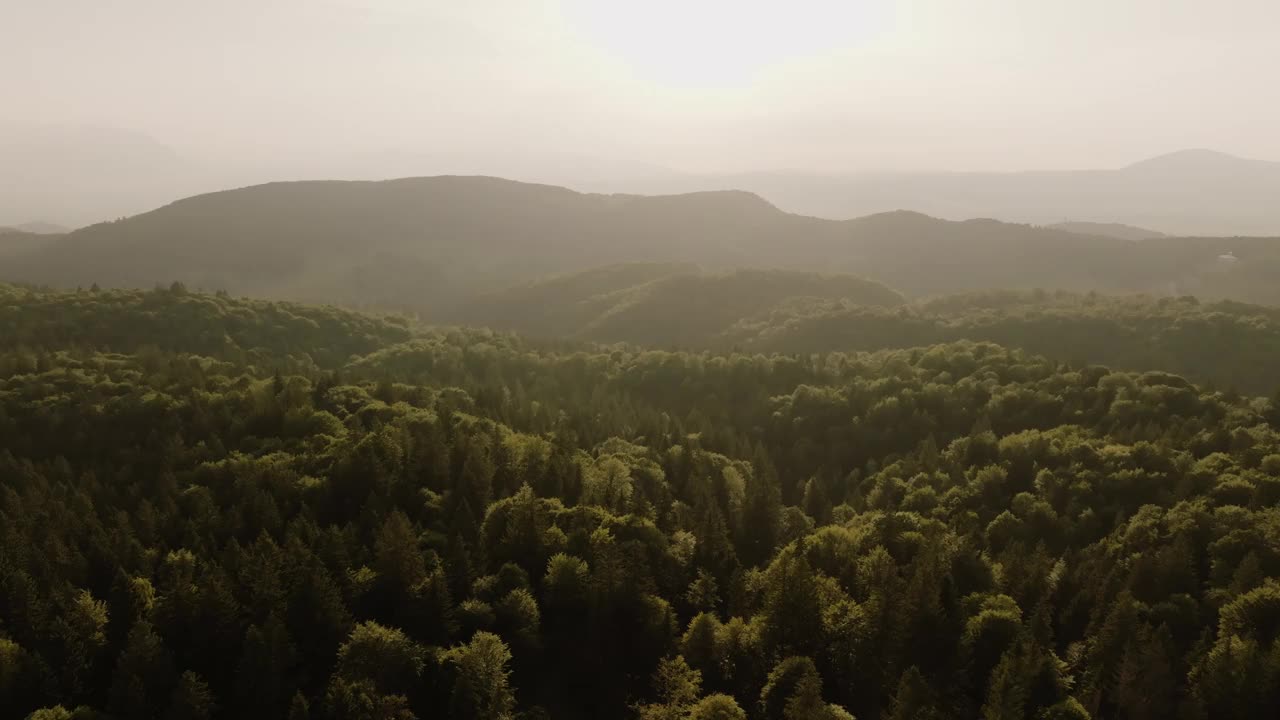 这是一幅由无人机拍摄的自然景观，拍摄于阴天晴朗的山区森林视频素材