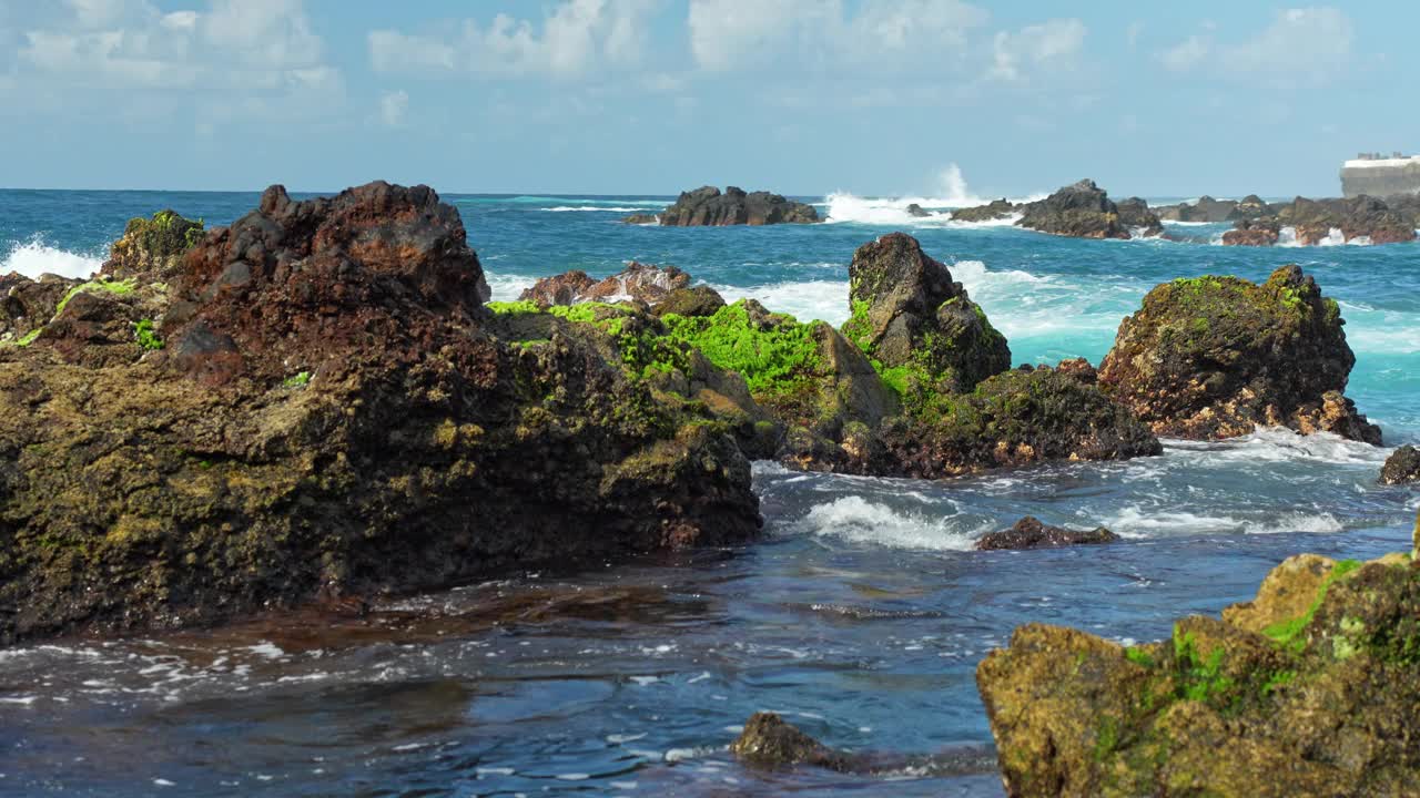 特内里费岛海岸线上的火山岩和茂盛的藻类:撞击的海浪视频素材